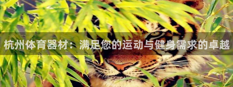 尊龙人生就是博旧版现：杭州体育器材：满足您的运动与健