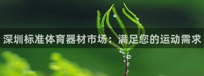 尊龙王t400：深圳标准体育器材市场：满足您的运动需