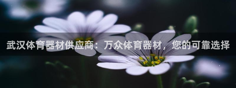 尊龙一人生就是搏：武汉体育器材供应商：万众体育器材，