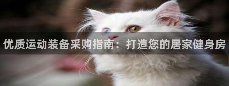 尊龙网址是多少：优质运动装备采购指南：打造您的居家健