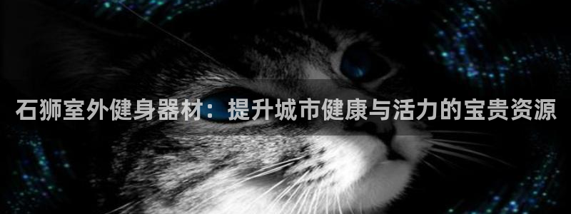 尊龙人生就是博登录：石狮室外健身器材：提升城市健康与