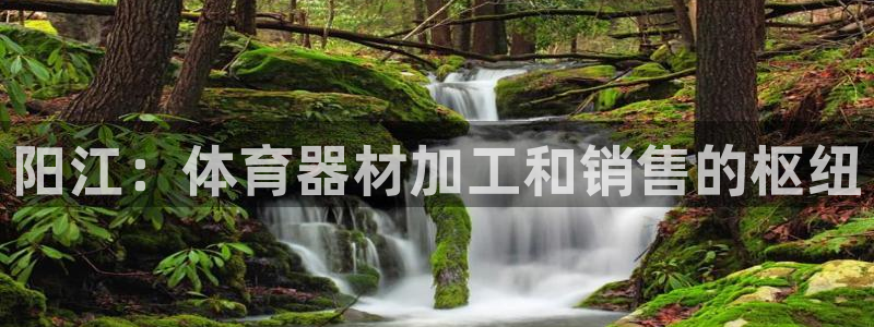尊龙集团有限公司官网：阳江：体育器材加工和销售的枢纽