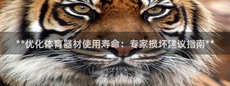 尊龙app怎么样：**优化体育器材使用寿命：专家损坏