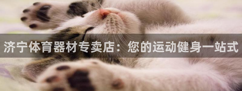 尊龙人生就是博首页：济宁体育器材专卖店：您的运动健身