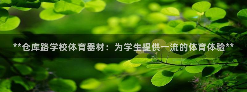 尊龙凯时网娱乐最新版下载：**仓库路学校体育器材：为