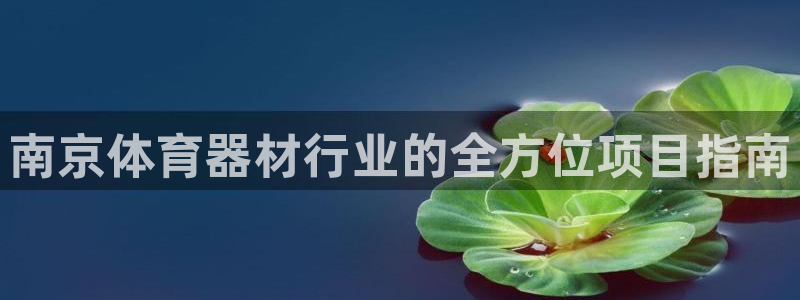 尊龙目前照片：南京体育器材行业的全方位项目指南