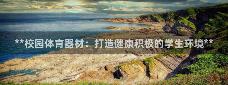 ZL尊龙凯时平台：**校园体育器材：打造健康积极的学