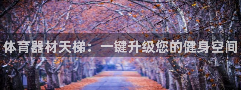尊龙凯时官网网址：体育器材天梯：一键升级您的健身空间