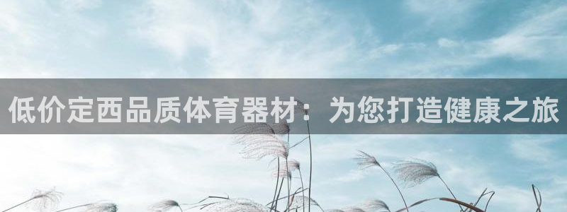 尊龙手机官方客户端下载：低价定西品质体育器材：为您打