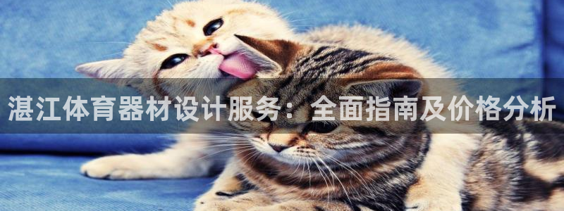 尊龙官网网页版：湛江体育器材设计服务：全面指南及价格