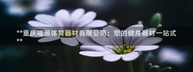 凯时k88最新：**重庆福源体育器材有限公司：您的健