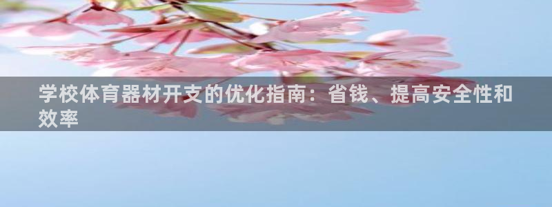尊龙ag旗舰厅登陆：学校体育器材开支的优化指南：省钱