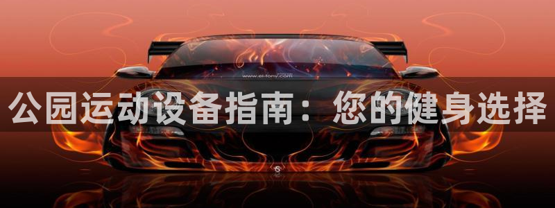 尊龙人生就是博旧版：公园运动设备指南：您的健身选择
