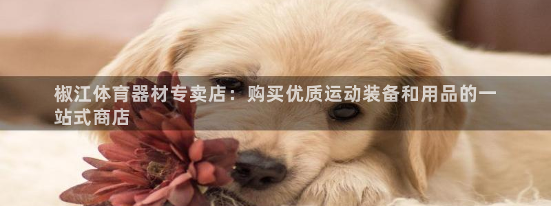 ZL尊龙凯时平台：椒江体育器材专卖店：购买优质运动装