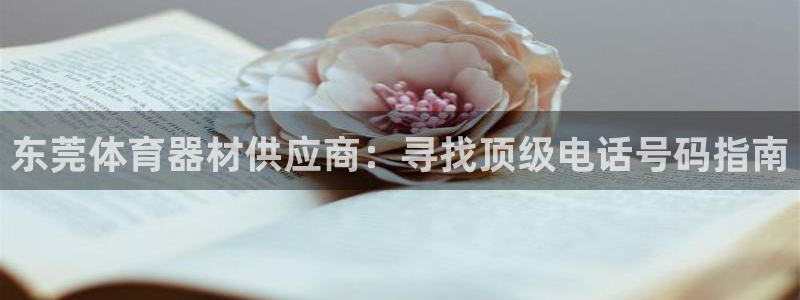 尊龙凯时产品种类：东莞体育器材供应商：寻找顶级电话号