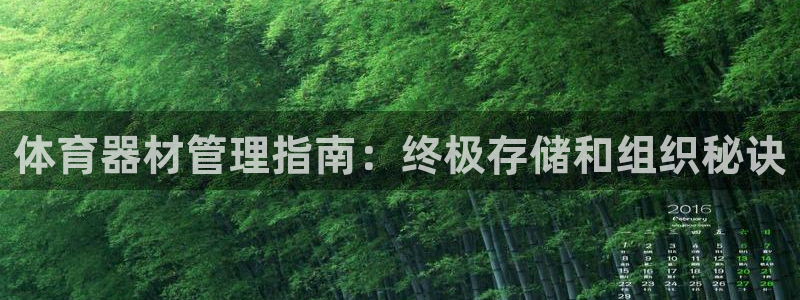 尊龙app注册官网：体育器材管理指南：终极存储和组织