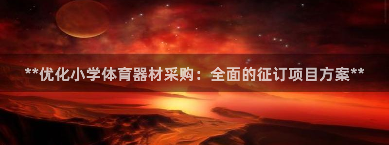 尊龙信息科技有限公司：**优化小学体育器材采购：全面