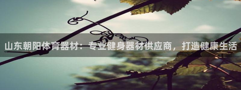 尊龙凯时网站是什么地方人开的：山东朝阳体育器材：专业