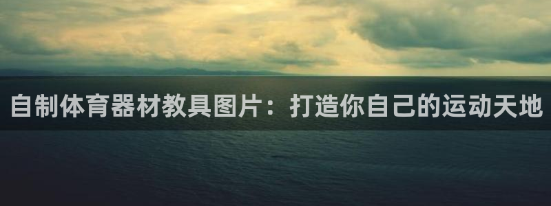 z6尊龙凯时集团：自制体育器材教具图片：打造你自己的