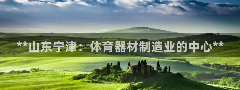 尊龙人生就是一博!：**山东宁津：体育器材制造业的中