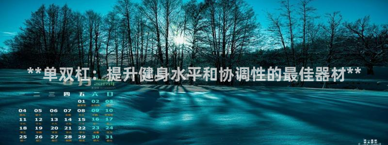尊龙凯时网娱乐最新版下载：**单双杠：提升健身水平和