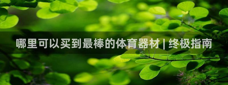 尊龙官方APP下载：哪里可以买到最棒的体育器材 | 