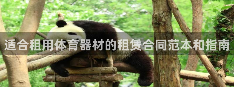 尊龙人生就是博送38：适合租用体育器材的租赁合同范本