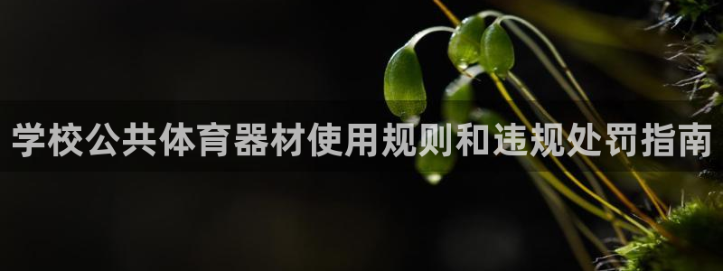 尊龙凯时人生就是搏首页：学校公共体育器材使用规则和违
