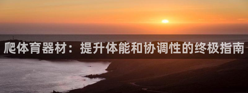 尊龙官网免费下载安卓：爬体育器材：提升体能和协调性的