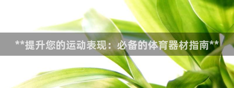 z6尊龙z6：**提升您的运动表现：必备的体育器材指