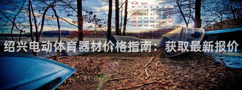 尊龙凯时官网版登录：绍兴电动体育器材价格指南：获取最