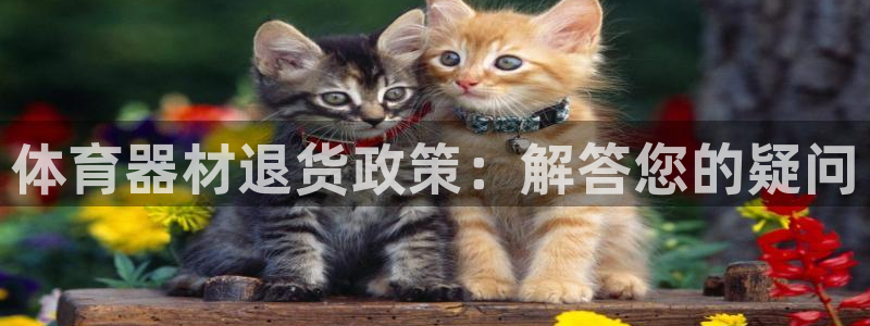 尊龙人生就是博官方官网：体育器材退货政策：解答您的疑