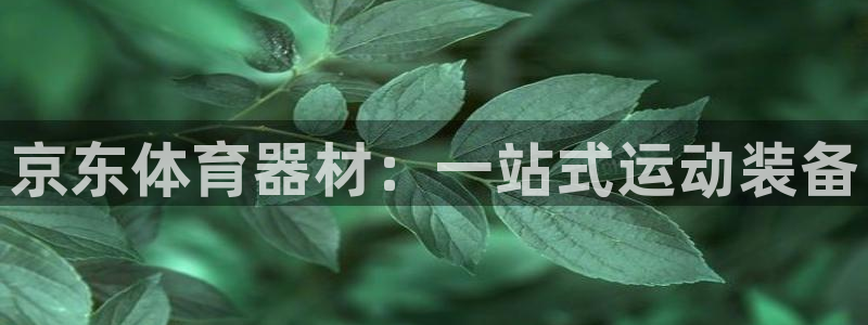尊龙凯时人生就是搏官方网站：京东体育器材：一站式运动