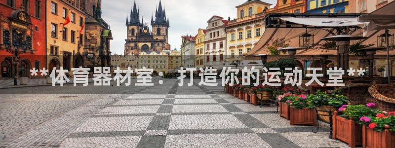 尊龙现金推荐ag发财网：**体育器材室：打造你的运动