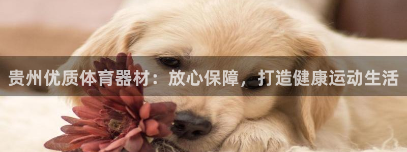 尊龙人生就是-首页：贵州优质体育器材：放心保障，打造