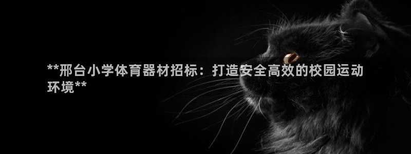 尊龙凯时人生就是搏平台：**邢台小学体育器材招标：打