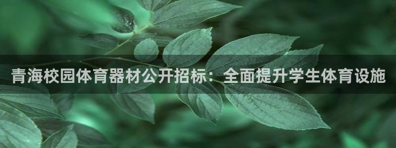 尊龙凯时网站赌愽做假吗：青海校园体育器材公开招标：全