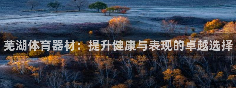 尊龙人生就是博电脑版：芜湖体育器材：提升健康与表现的
