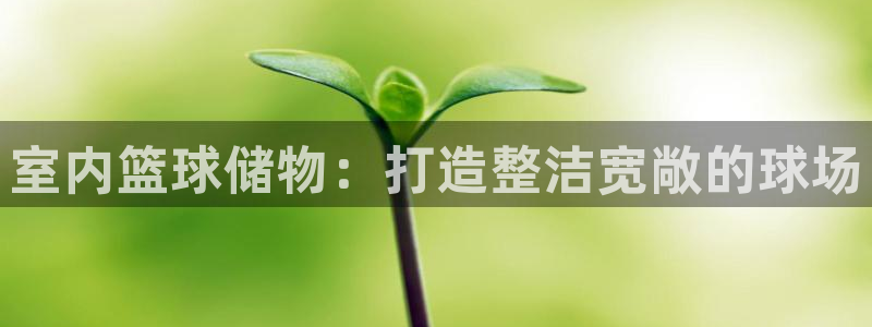 凯时登录首页,凯时K66：室内篮球储物：打造整洁宽敞