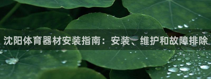 尊龙凯时网站不让提款：沈阳体育器材安装指南：安装、维