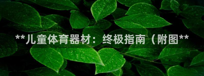 尊龙光学怎么样：**儿童体育器材：终极指南（附图**