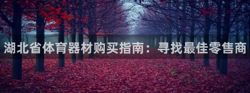 凯时K66最新版本下载：湖北省体育器材购买指南：寻找