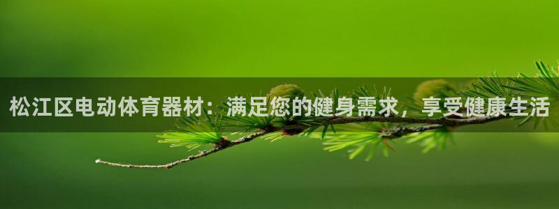 d88尊龙z6：松江区电动体育器材：满足您的健身需求