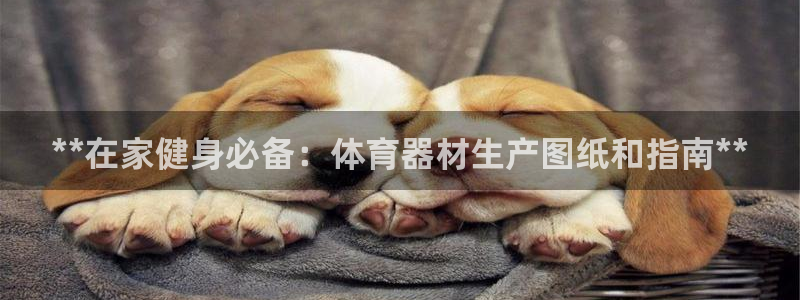 ZL尊龙凯时平台：**在家健身必备：体育器材生产图纸