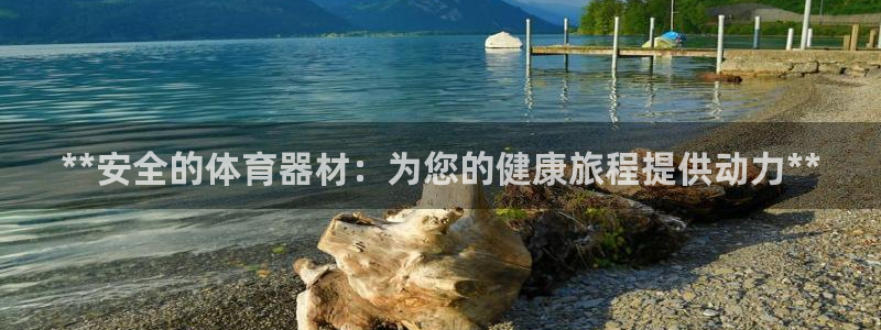 尊龙平台有谁玩过：**安全的体育器材：为您的健康旅程