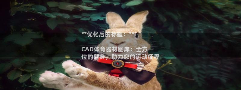 尊龙凯时正规吗：**优化后的标题：**

CAD体育