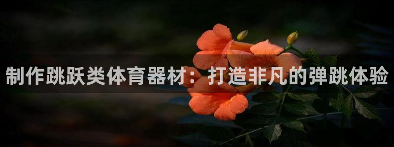 尊龙网址苹果版下载：制作跳跃类体育器材：打造非凡的弹