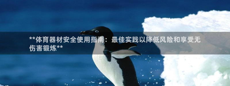 尊龙凯时企业文化：**体育器材安全使用指南：最佳实践