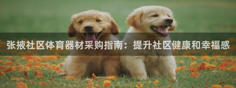 凯时ag旗舰厅：张掖社区体育器材采购指南：提升社区健