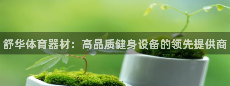 尊龙网站人生就是博：舒华体育器材：高品质健身设备的领